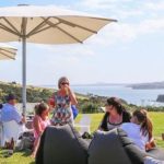 The Best Auckland Wine Tasting & Winery Tours 2022
