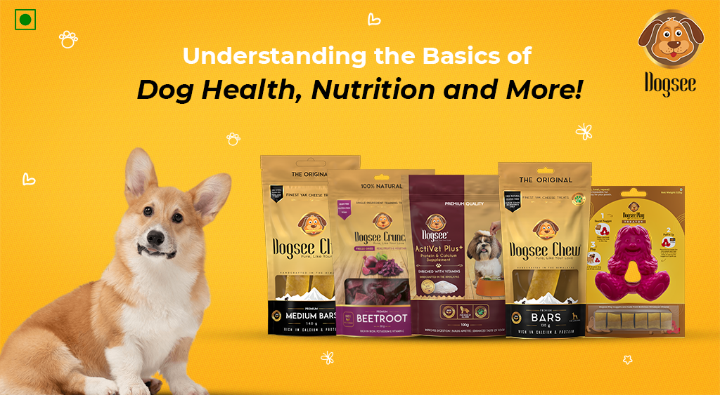 The Importance of Understanding Dog Health Basics - VGM World Blog